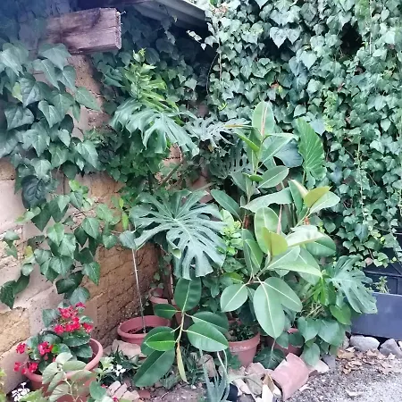 Dimora Oda ve Kahvaltı 3*