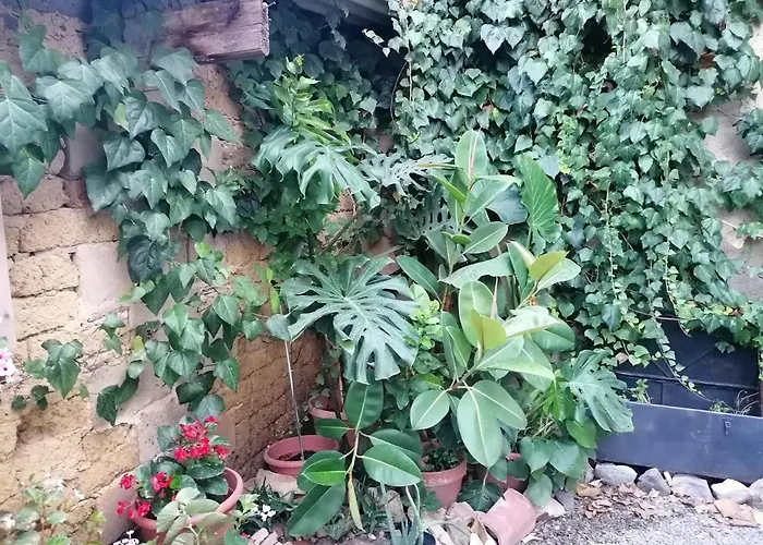 Dimora Bed & Breakfast 3*